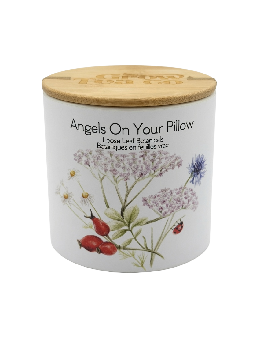 Angels On Your Pillow