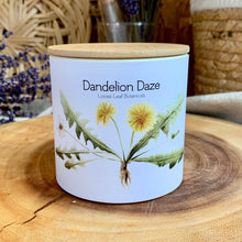 Dandelion Daze